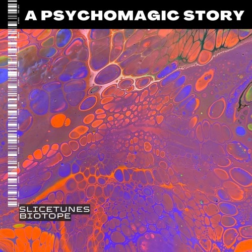 Slicetunes - Biotope [APS11]