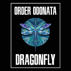 ORDER ODONATA: Beyond the Looking Glass