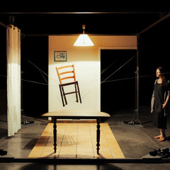 Félix Côte | Le roi se meurt | Installation