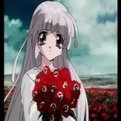 Don’t let a price tag fool you.