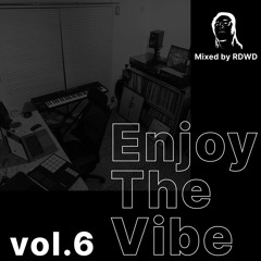 Enjoy The Vibe Vol.6