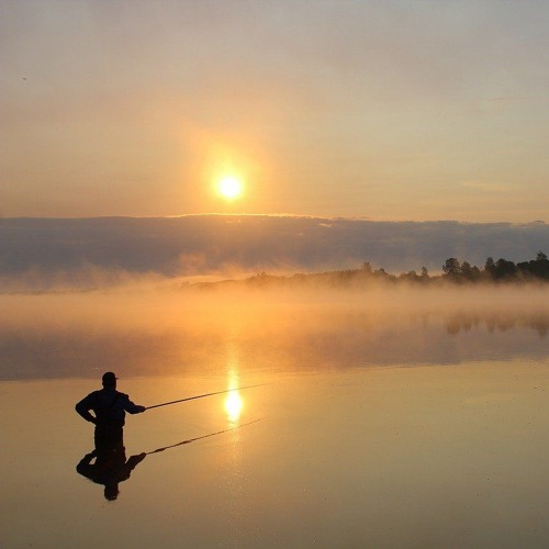 As Dawn Awakens. Anna Kyptakova