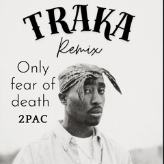 2Pac-Only Fear Of Death (TRAKA REMIX)