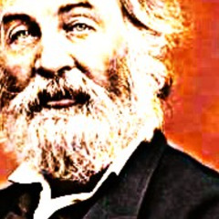 "Yawp" *SoundCloud Exclusive*