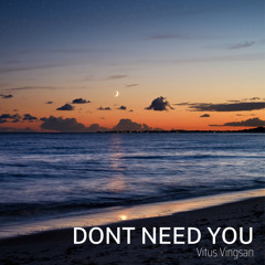 Dont Need You