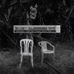 Bad Bunny – DtMF x Hel:Sløwed (Deluca Edit)