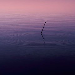 Let the day unfold with grace