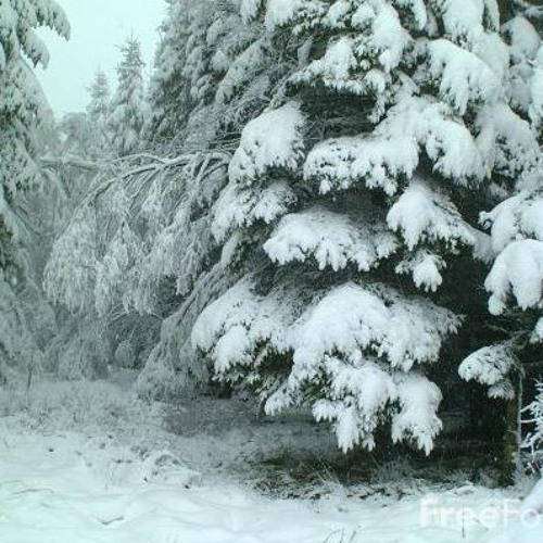 Iced Out (demo)