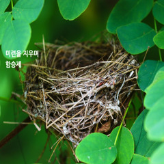 미련을 지우며(With Erasing A Lingering Regret)