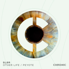 Sl8r - Other Life