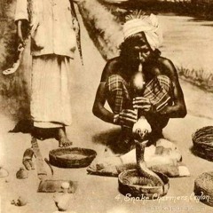 SnakeCharmers//KumaTEKZ[PREVIEW]