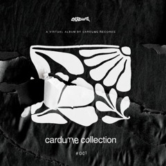 PREMIERE: Leo Janeiro - Pianodrama [CARDUME]