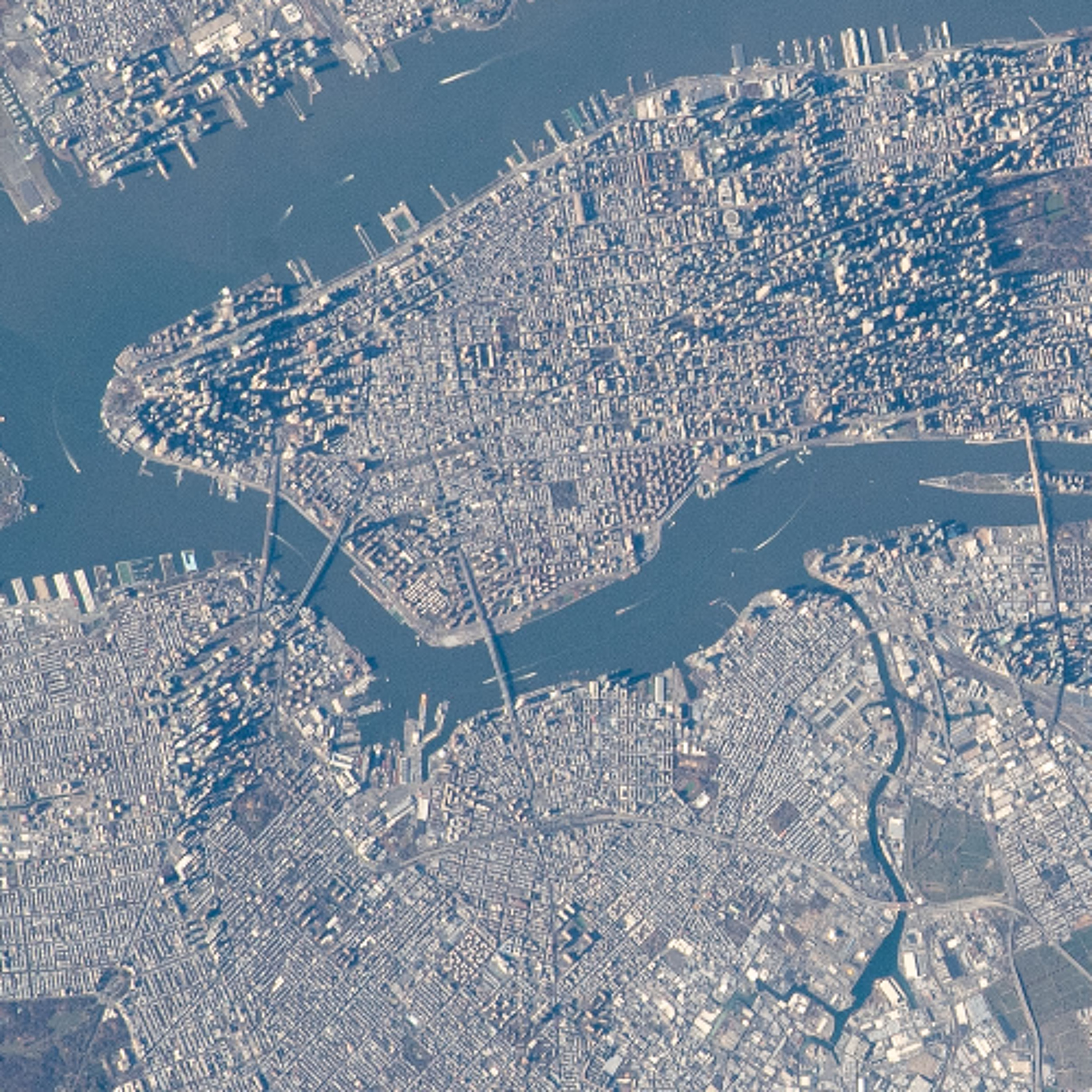 Dolphins in the East River spotted as conservation legal battle begins episode artwork