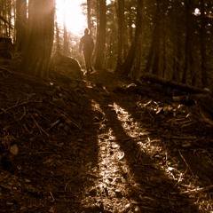 June Bunch and Adam Shreve - "No Harm"