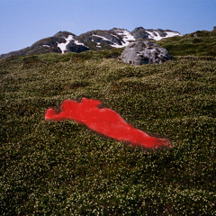 bnny sings love songs