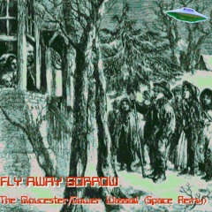 The Gloucester / Gower Wassail (Space Remix)