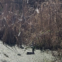 prudence and positivity