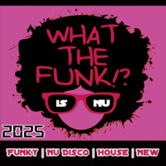Funky & Disco House Mix 2025 ⭐ What the Funk is NU?! ⭐ DE SOFFER | David Penn | Midnight City