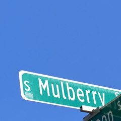 Under The Mulberry Tree (Feat. SpitHellManuel)(Prod. Mal'akh Kasa)