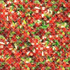 Techno Salad Con Salsa [Duro Label] (LCR 7.23.24)