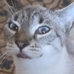 maäsß - creative session 26_9settings ; I'm series, HfS2Y A KID LB Z, spf infini trial