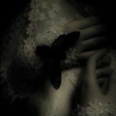 「Specimen de Melia」-メリアの標本