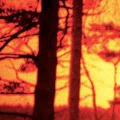 I Might Be Wrong (Radiohead cover)