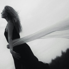 Céline Dion - Courage (Agini Remix)