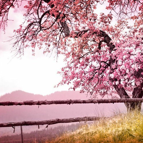 more Melodic (stuff I used to like and play...)