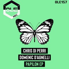 Chris Di Perri - Rumble (Extended Mix) Snippet
