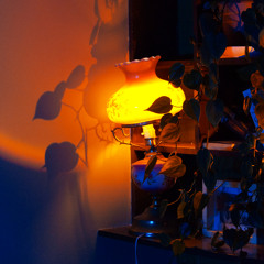 something's wrong with me