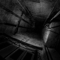 Elevator Mush