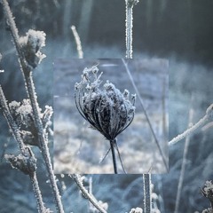 Equinox
