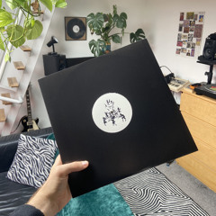 Phasmid - Double Negative [LIMITED REPRESS]