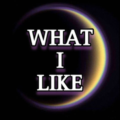 What I Like_vol.9