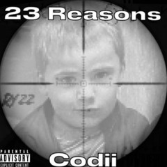 23 Reasons