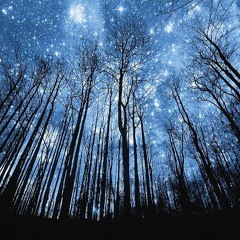 ๏̯͡Skungyfunkyitis٩๏̯͡๏)۶ - Drive