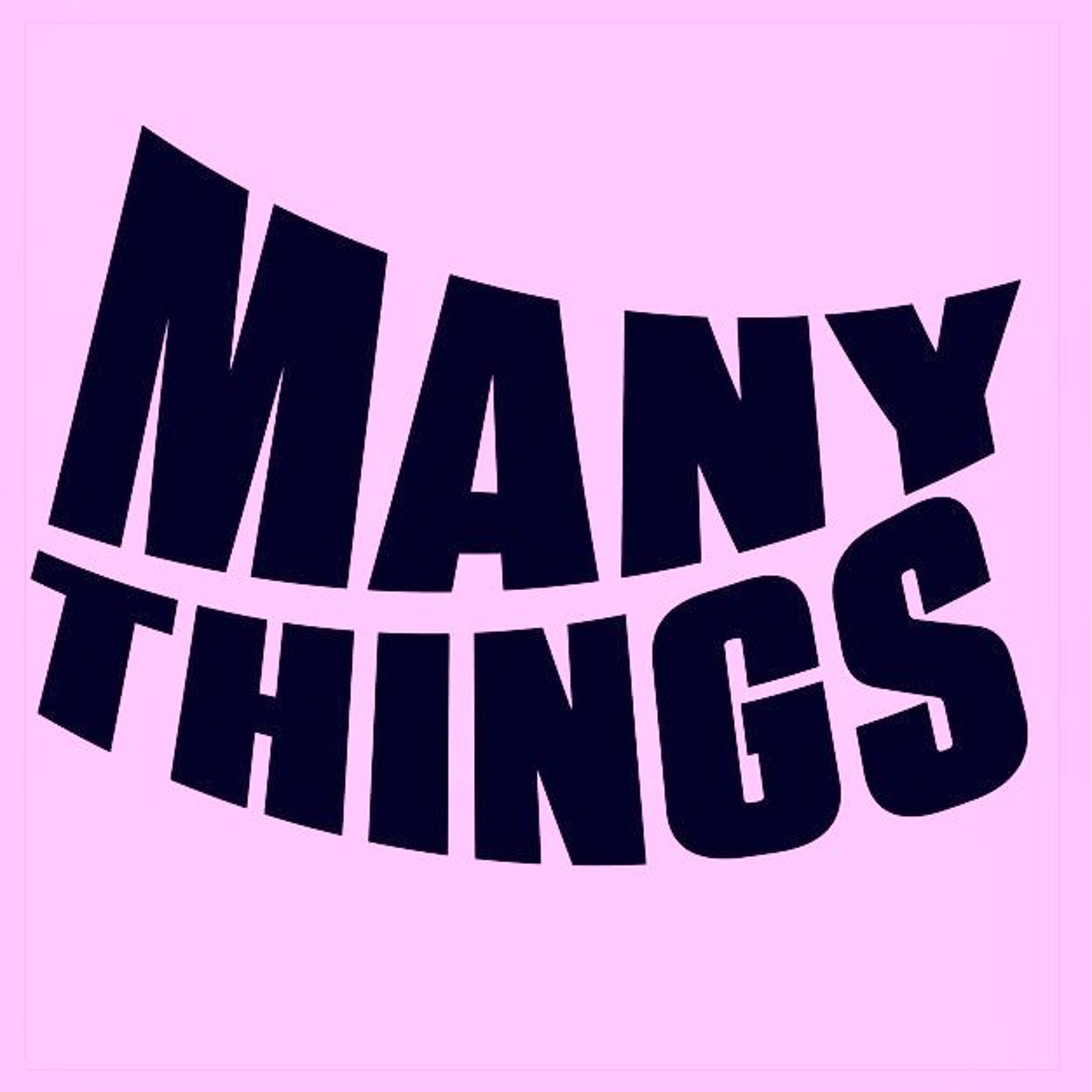 2 MANY THINGS episode artwork