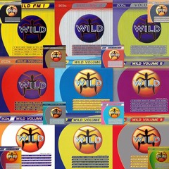 1 HOUR OF WILD FM INTRO'S - Blended by Dj Pazzo