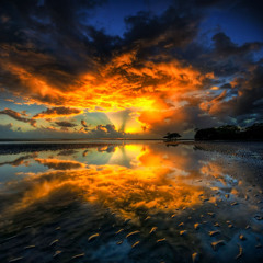 Sunrise Network