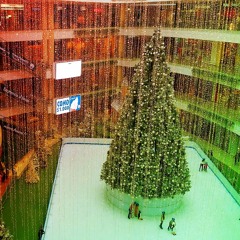 The Brightly Lit Christmas Tree