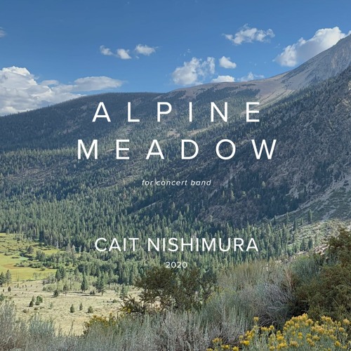 ALPINE MEADOW - Cait Nishimura
