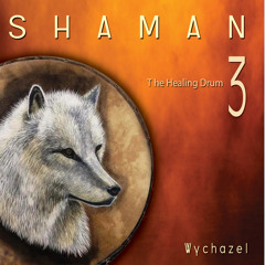 Shaman 3