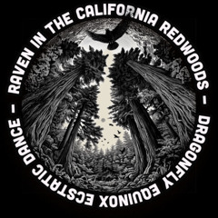 DRAGONFLY - RAVEN IN THE REDWOODS: A TRANSFORMATIONAL EQUINOX ECSTATIC DANCE