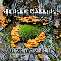 Jungle calling @ Santarphe mix