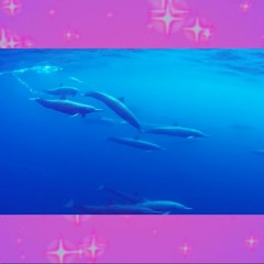 ur depressed time traveler gf 2000