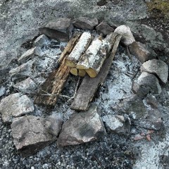 Ashes on The Ground
