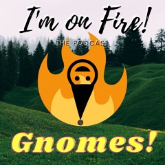 E35 - Gnomes!