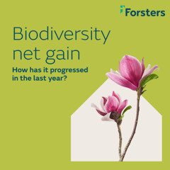 How has biodiversity net gain progressed in the last year?