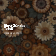 Ebru Gündeş - Telafi(Yigit Unal Remix)